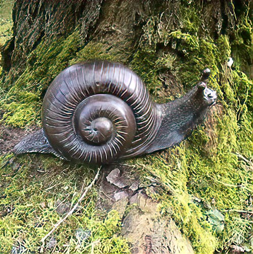 Hollow Cast Bronze Snail :Brian : Large