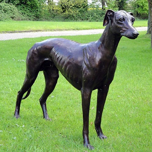 Hollow Cast Bronze Dog : Greyhound : Flash : Dark Brown Coat