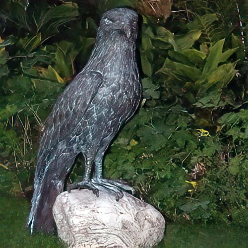 Hollow Cast Bronze Bird : Young-Standing Eagle