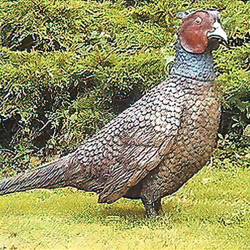 Hollow Cast Bronze Bird : Pheasant : Life Size Adult