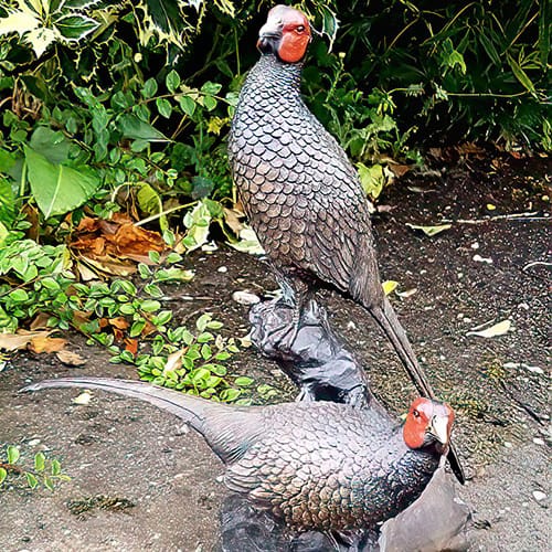 Hollow Cast Bronze-Birds-Two-Pheasants-Table-Top