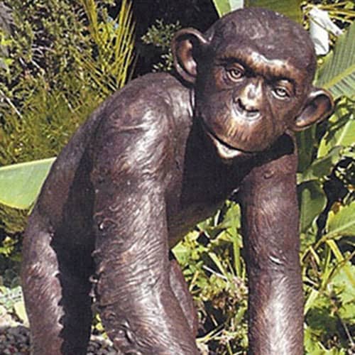 Hollow Cast Bronze Chimpanzee : Charlie the Chimp