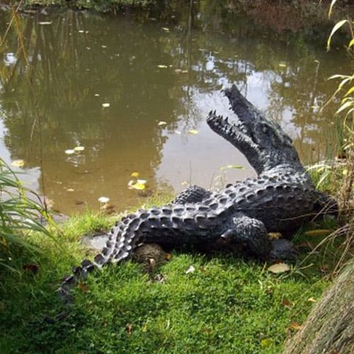Hollow Cast Bronze Crocodile : Mr Snappy : Water Feature