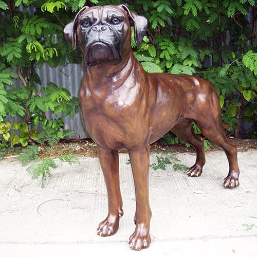 Hollow Cast Bronze Dog : Boxer : Buddy