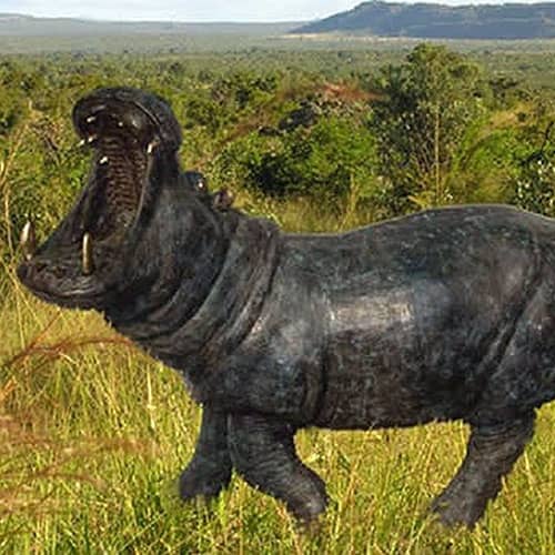 Hollow Cast Bronze Hippo : Hector Hippopotamus