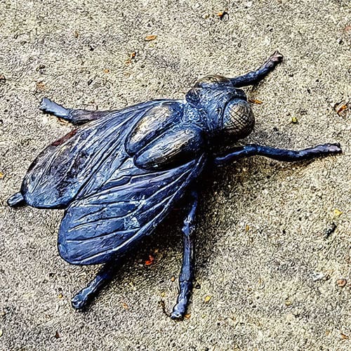 Hollow Cast Bronze Insect : Buzz the Fly