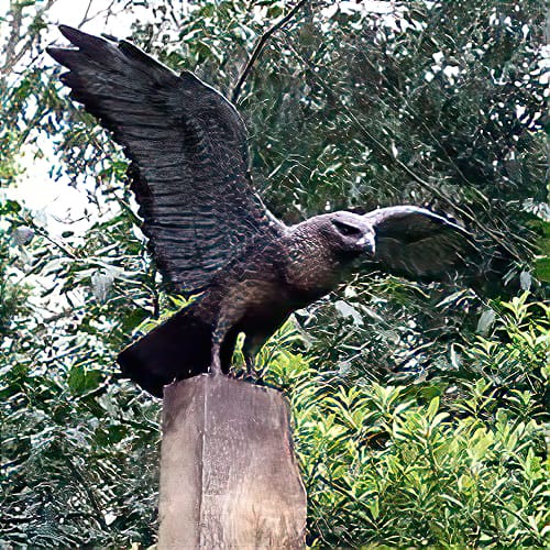 Hollow Cast Bronze Bird : Common Buzzard : Bird of Prey