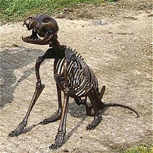 Solid Cast Bronze Figure : Skeleton Dog : Dog Bones