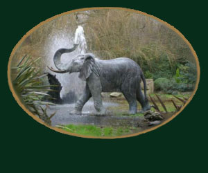 Escar UK Bronze : Tawan Elephant Logo